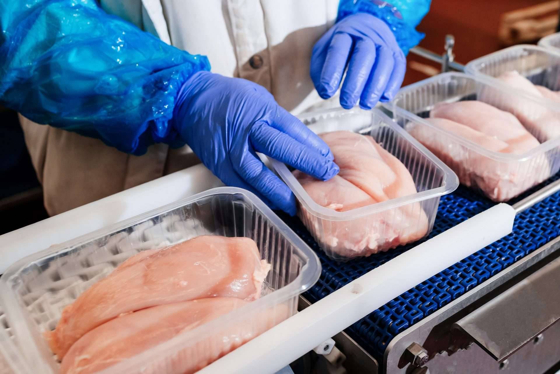 Ozonizzatori d'aria per industria alimentare Ozonizzatori d'aria per industria alimentare
