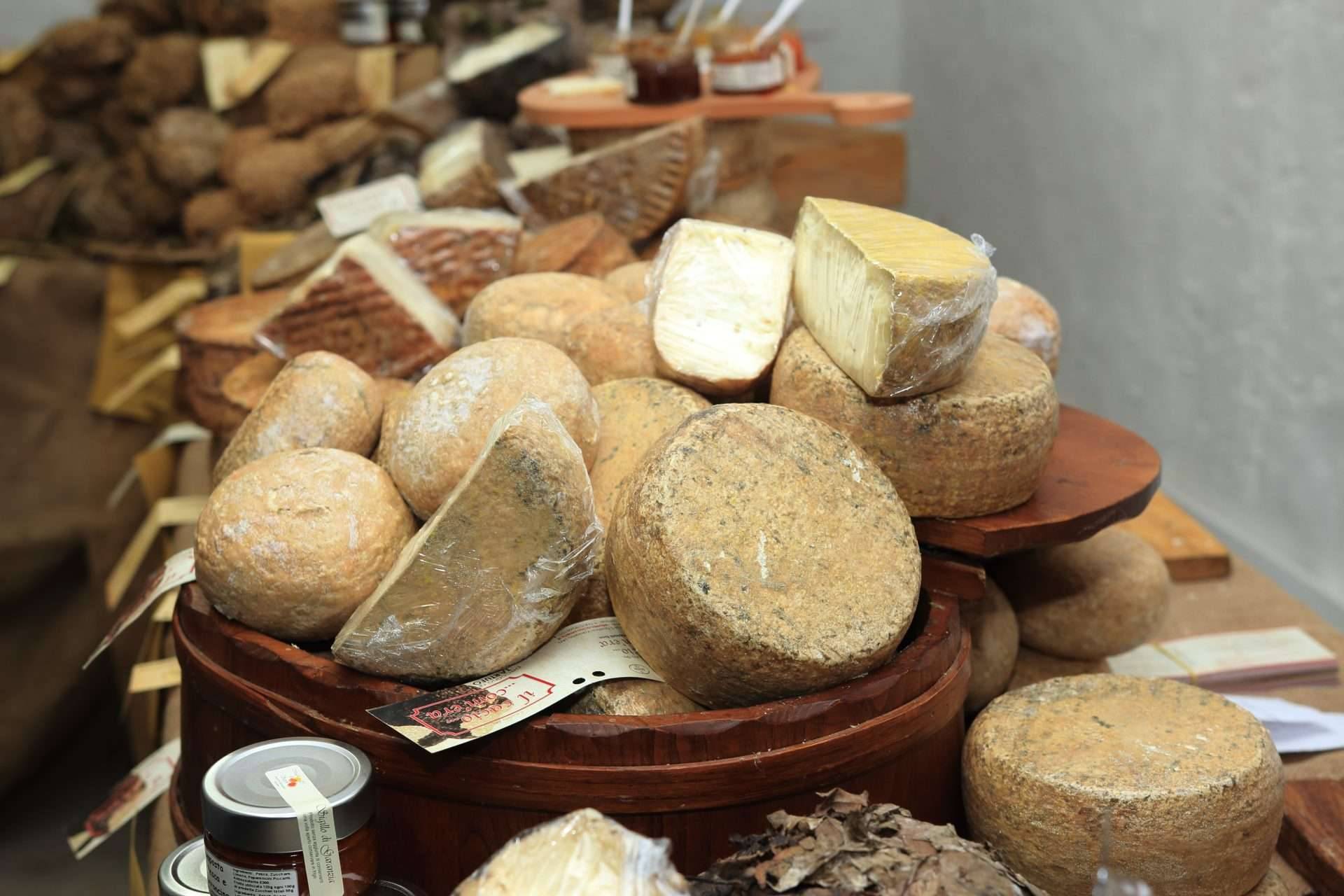 Ozonizzatori d'aria per conservazione e stagionatura Ozonizzatori d'aria per conservazione e stagionatura