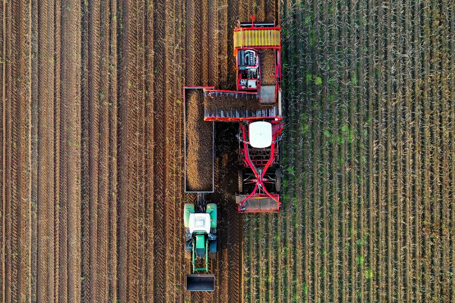 Umidificatori per produzioni patate Umidificatori per produzioni patate
