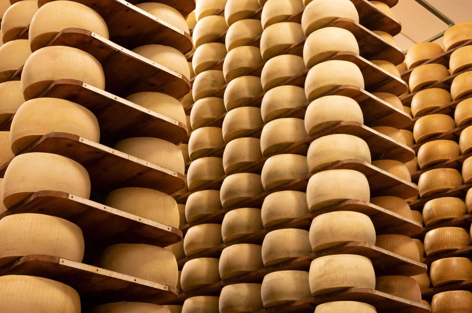 Ozonizzatori d'aria Ozonizzatori d'aria