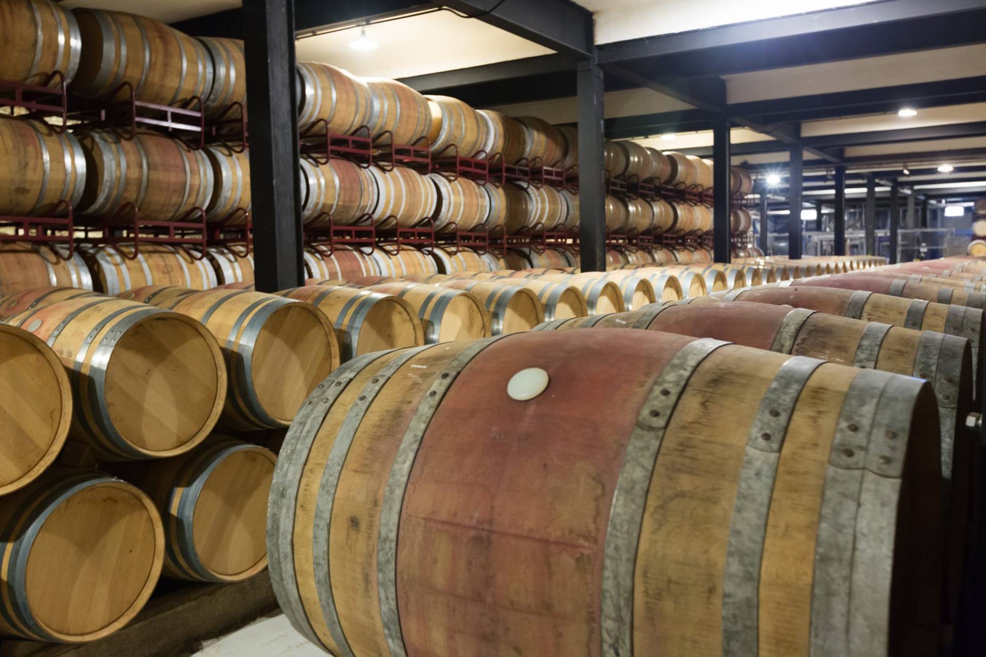 Umidificatori per cantine vinicole Umidificatori per cantine vinicole