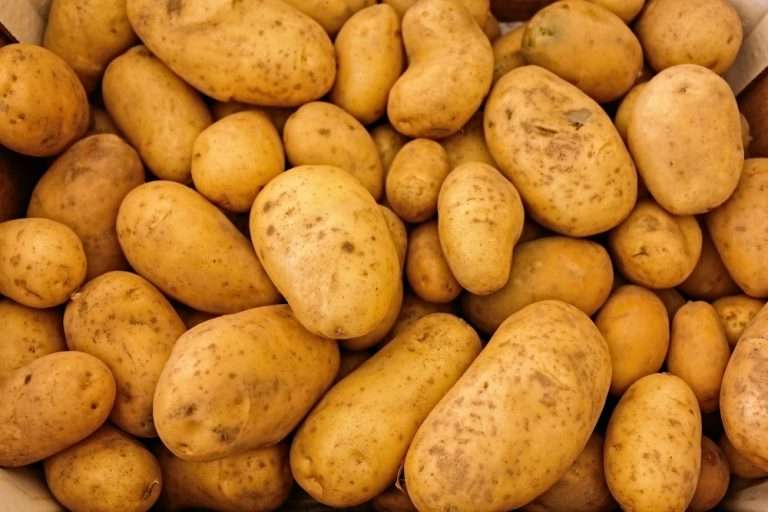Deumidificazione per patate e tuberi