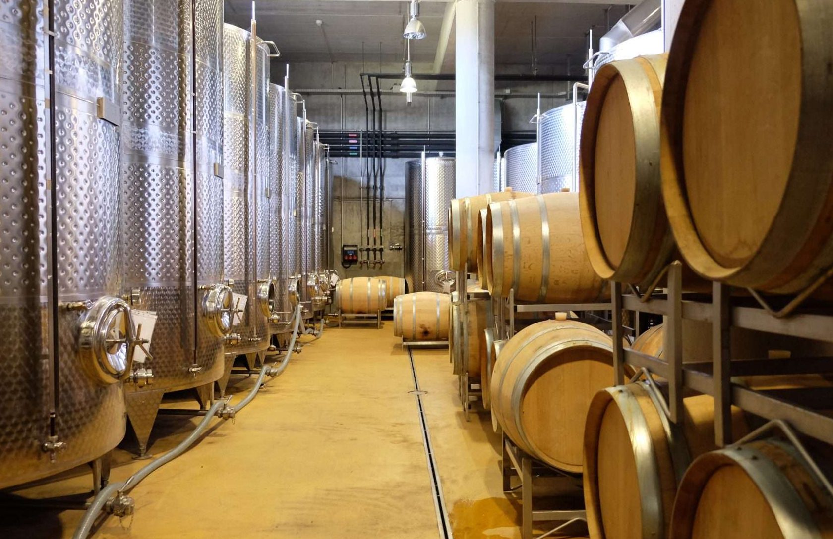 Vantaggi dell'umidificazione nelle cantine vinicole