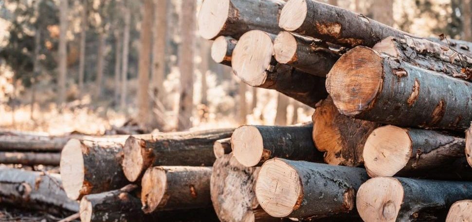Umidificazione per la lavorazione del legno