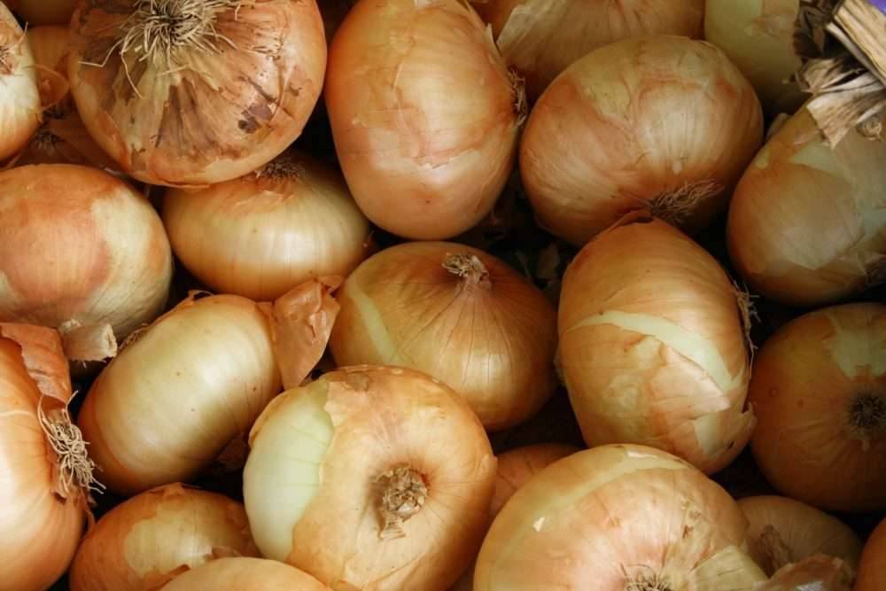 Deumidificatori d'aria per cipolle